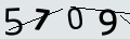 verifycode